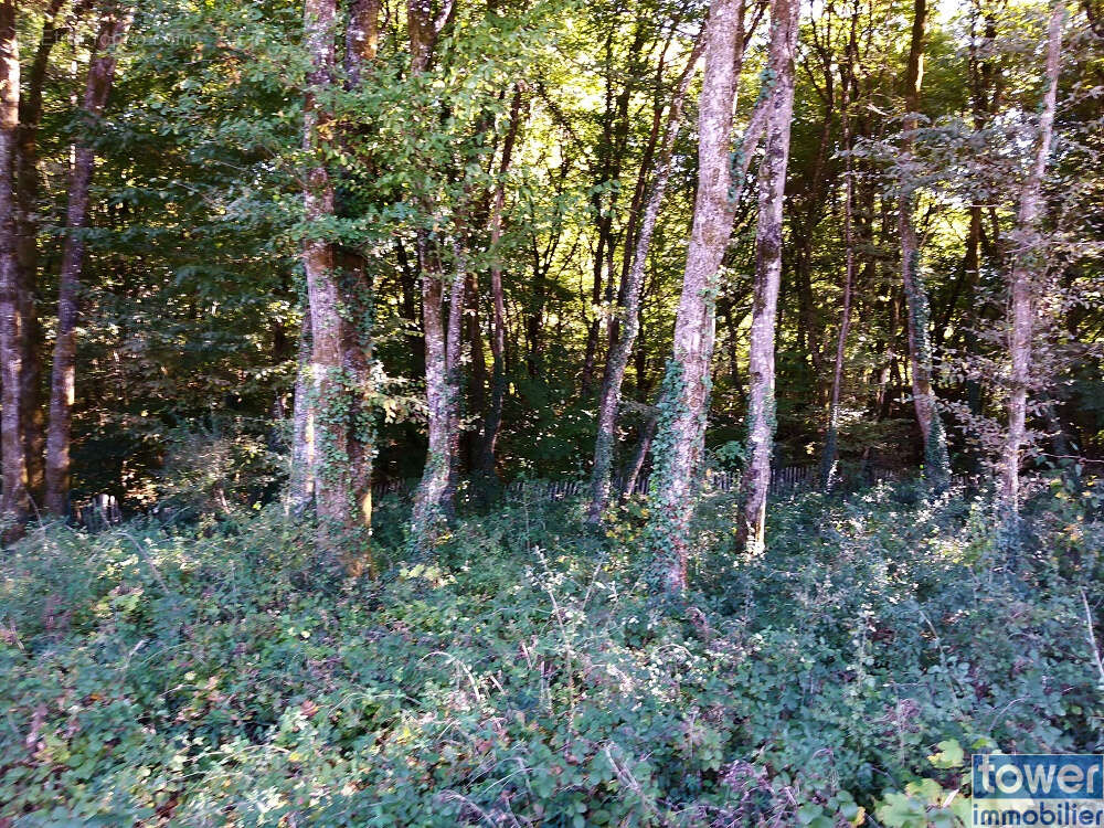 Terrain à PRANZAC