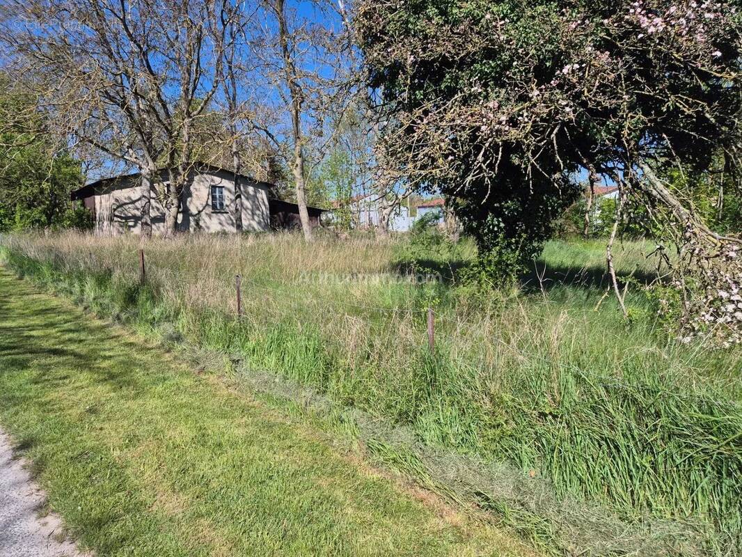 Terrain à SAINT-MASMES