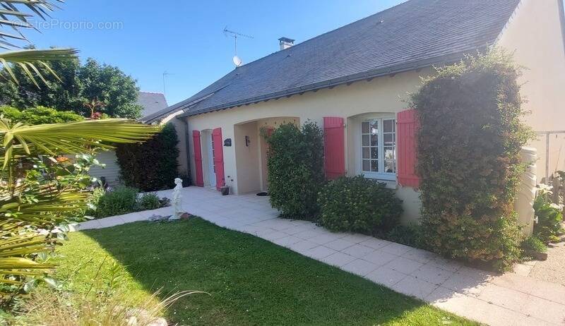Maison à FENEU