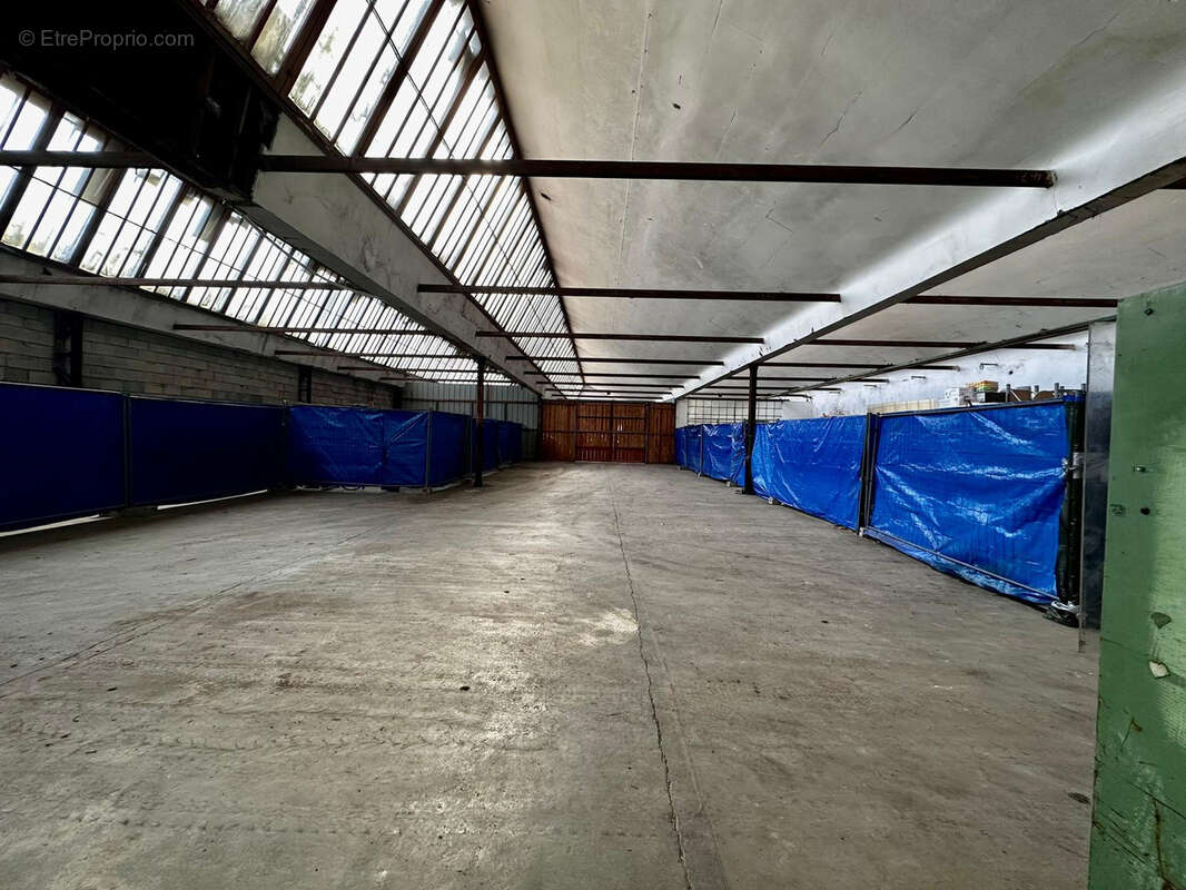 Commerce à SAINT-BRESSON