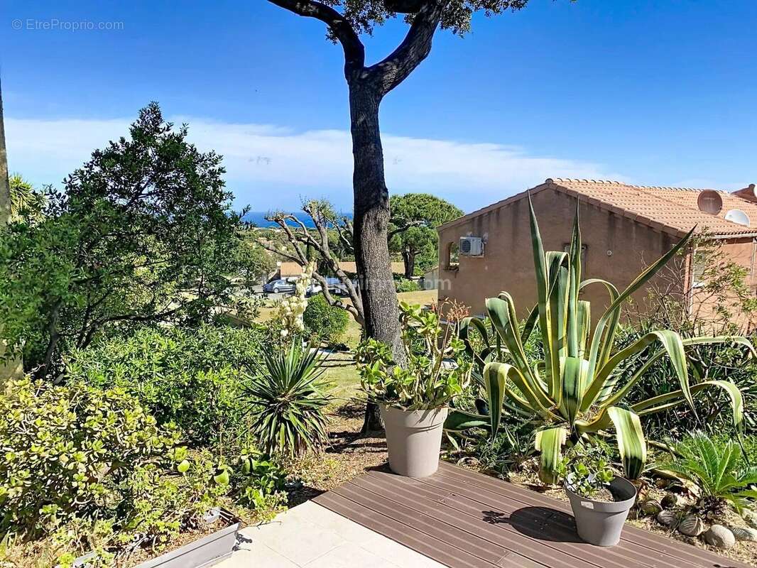 Appartement à LUMIO