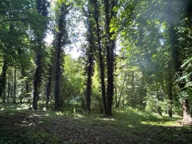 Maison à MAUPERTHUIS