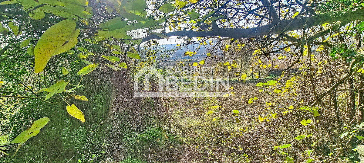 Maison à SAINT-ORENS-DE-GAMEVILLE