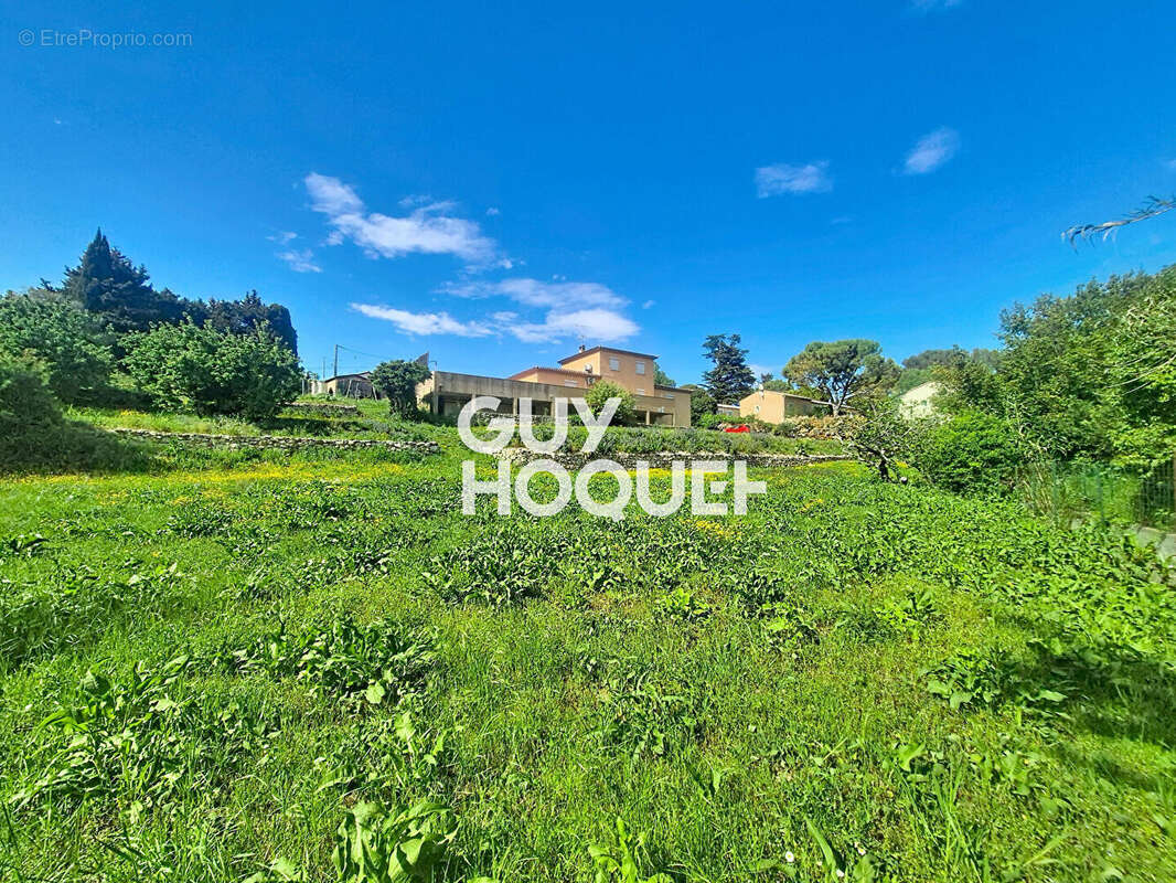 Maison de prestige à vendre à Mougins - Le Colombier - photo 2