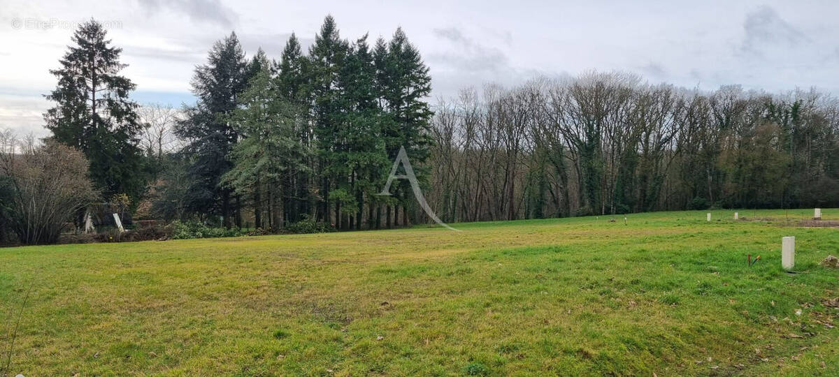 Terrain à SAINT-BOHAIRE
