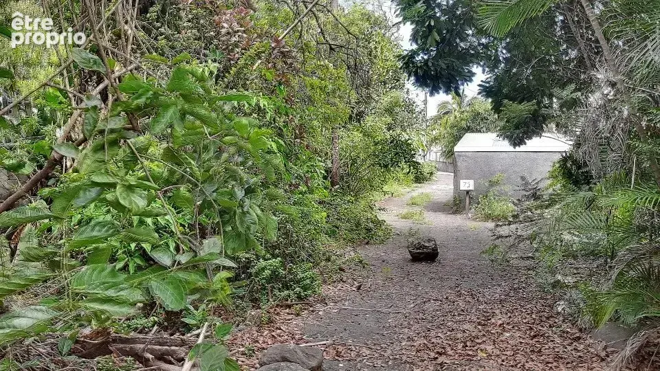 Magnifique terrain Plat de 2800 m² - photo 4