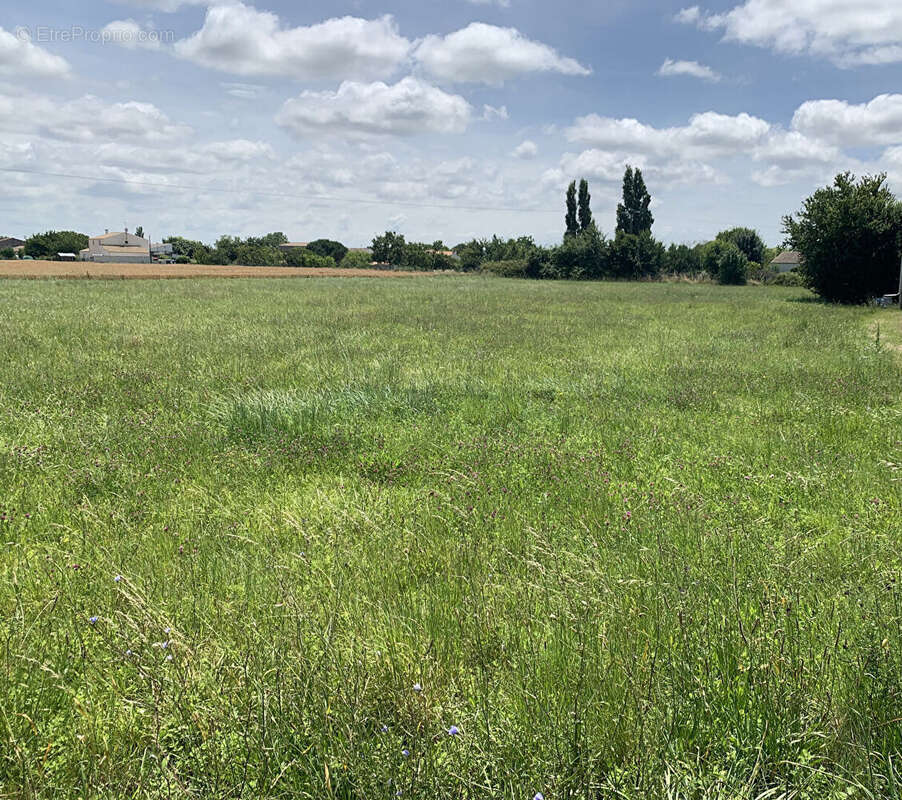 Terrain Nieulle Sur Seudre 636 m2 - photo 2