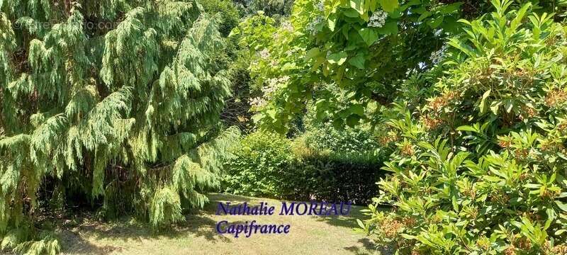 Maison à vendre 5 pièces SAINT LEGER SOUS BEUVRAY (71) - photo 44