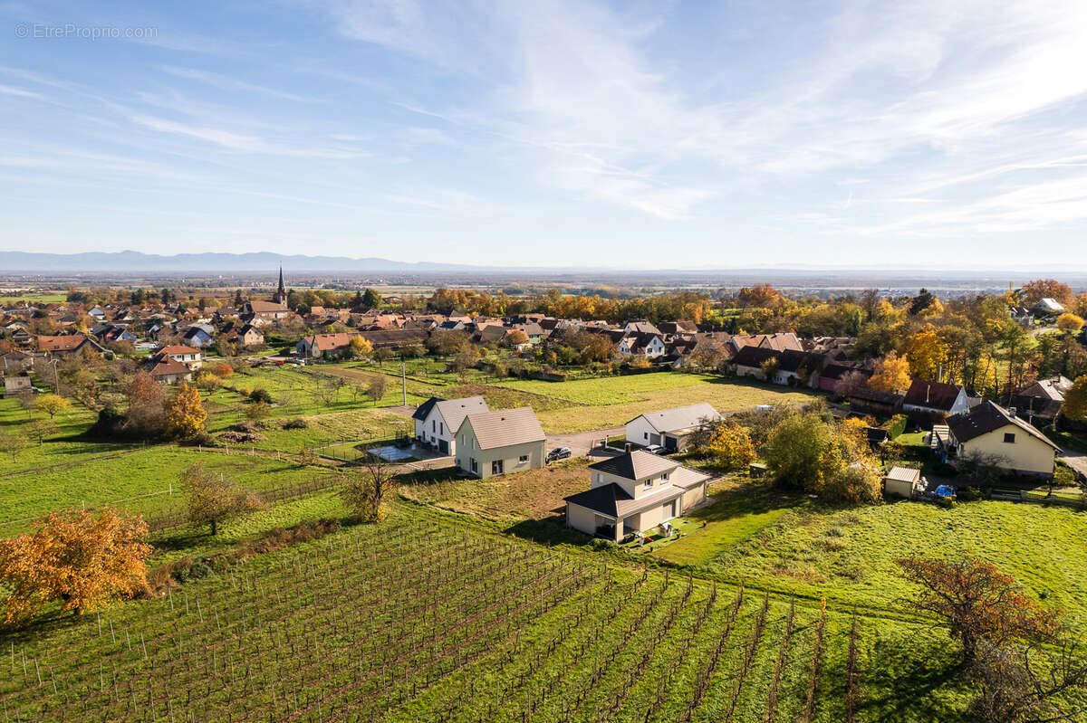 Terrain à WUENHEIM