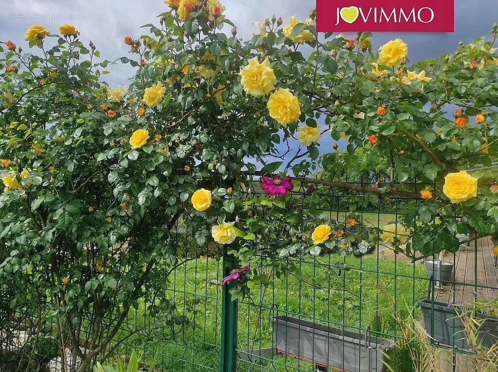 Maison à PEYREHORADE