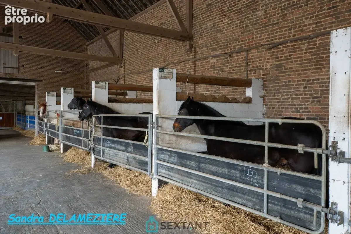 Propriété d'exception  demeure de caractère & domaine équestre de 1,6 ha - photo 6