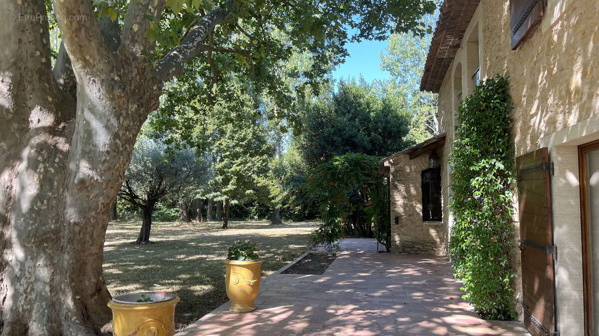 Mas en pierre avec piscine au cœur du Comtat Venaissin - photo 4