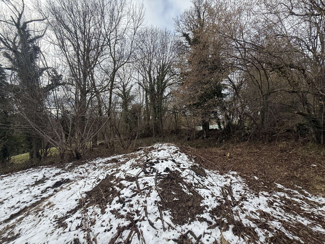 Maison à SAINT-JULIEN-CHAPTEUIL