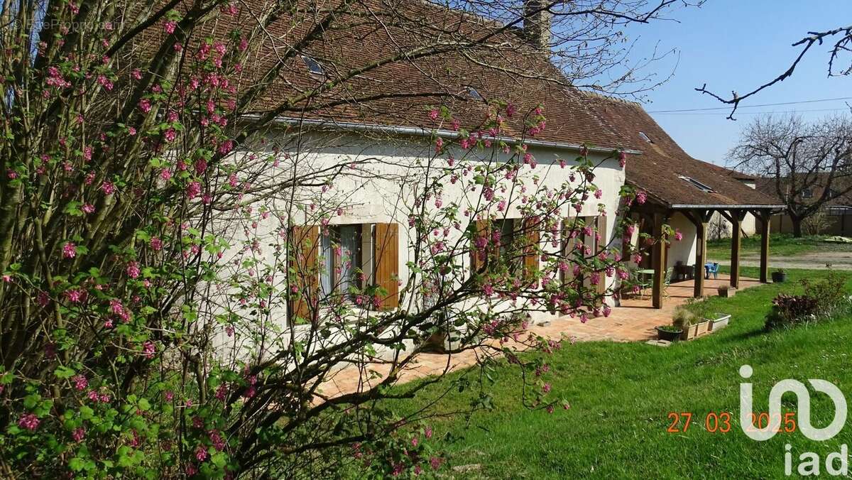 Photo 2 - Maison à DOMFRONT-EN-CHAMPAGNE