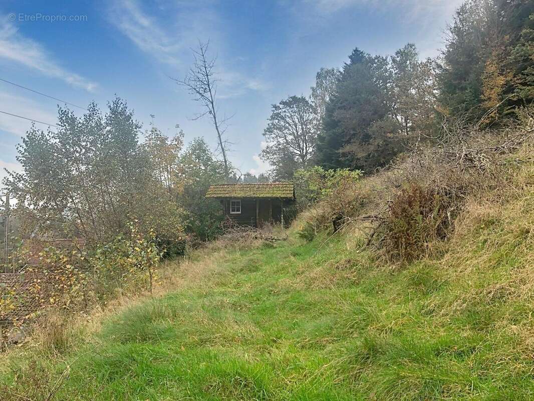 Photo 4 - Maison à SAULXURES