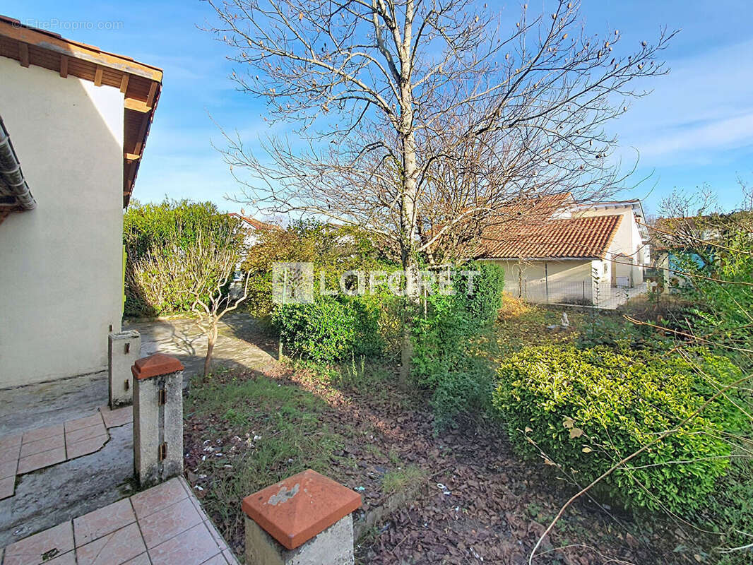 Maison à VILLEMUR-SUR-TARN