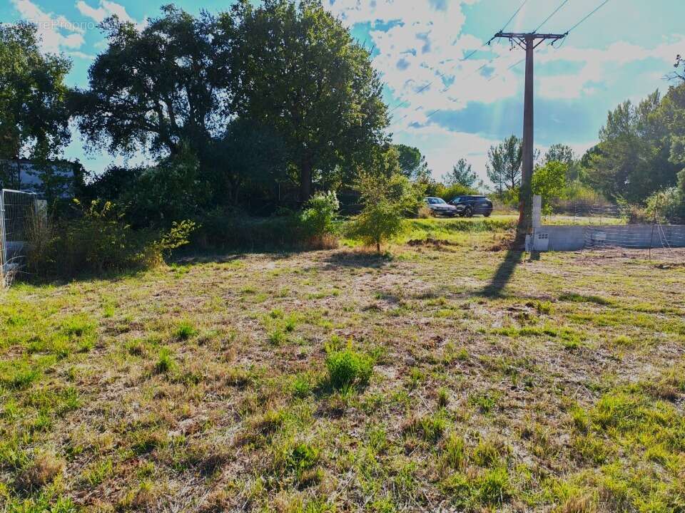 Terrain à LE CANNET-DES-MAURES