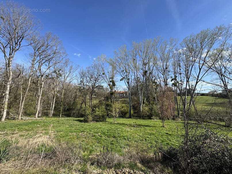 Opportunité rare à Saint Jean. Grande maison familiale de plus de 220 m2 habitable avec un demi sous-sol sur u - photo 2