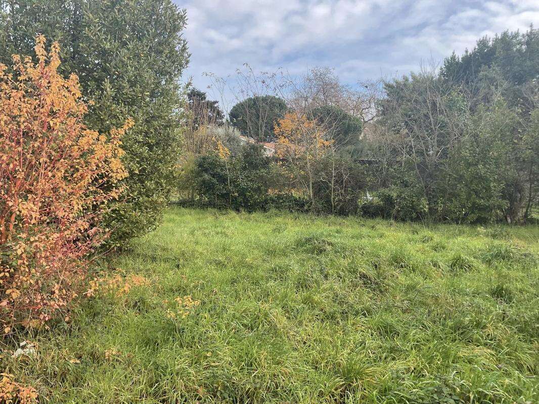 Terrain à MERIGNAC