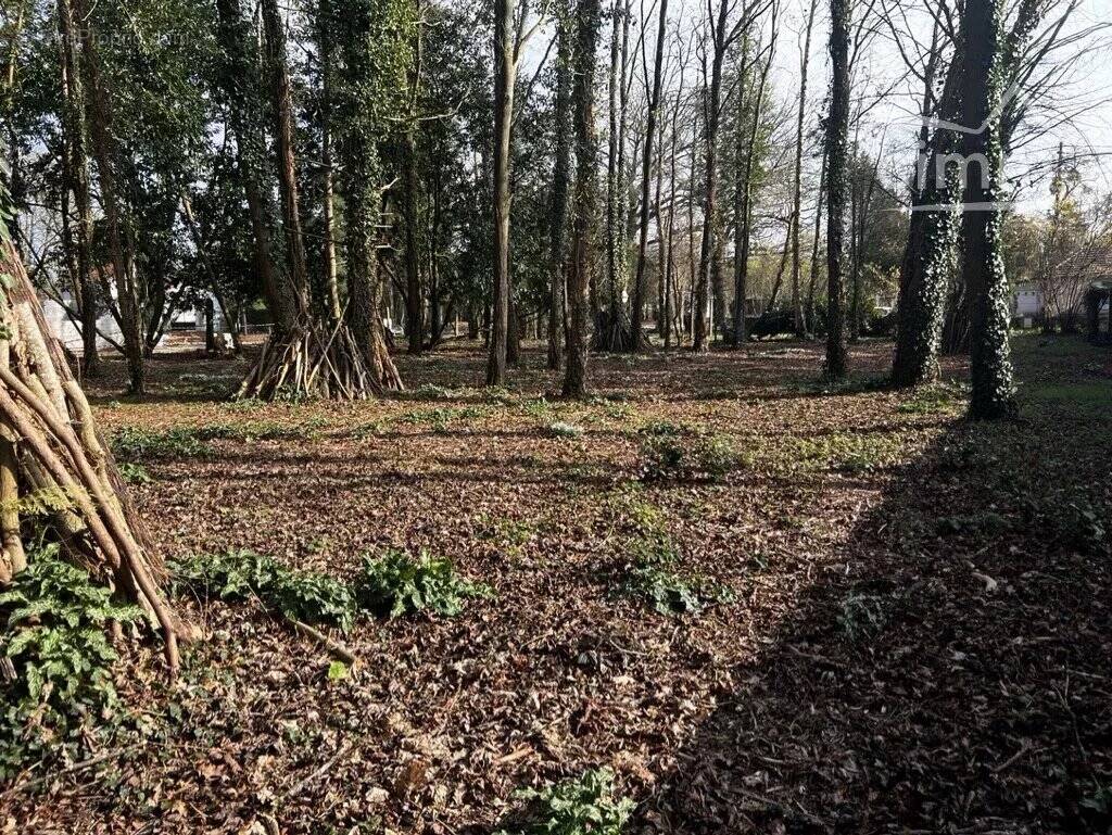 Terrain constructible dans secteur recherché - photo 3