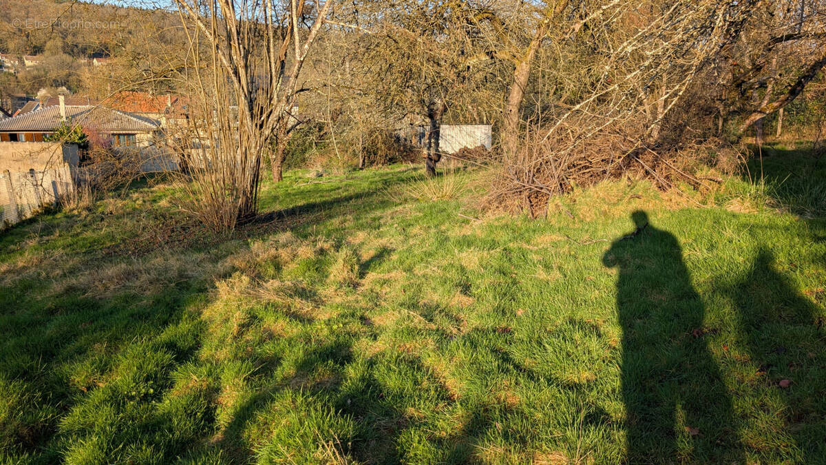 Terrain à JOUARRE