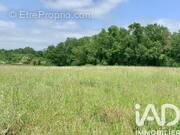 Photo 1 - Terrain à ANGLIERS