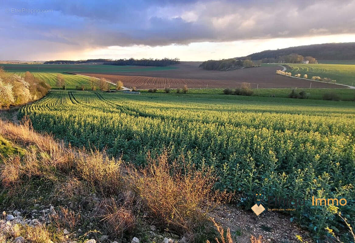 Terrain à SONCOURT-SUR-MARNE