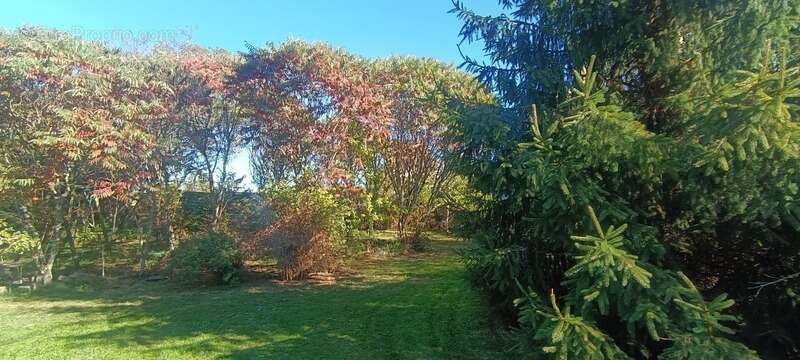 A vendre LIMEYRAT (24), maison de 172 m2 sur un terrain de 2300 m2 - photo 4