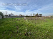 Terrain à LES MONTILS