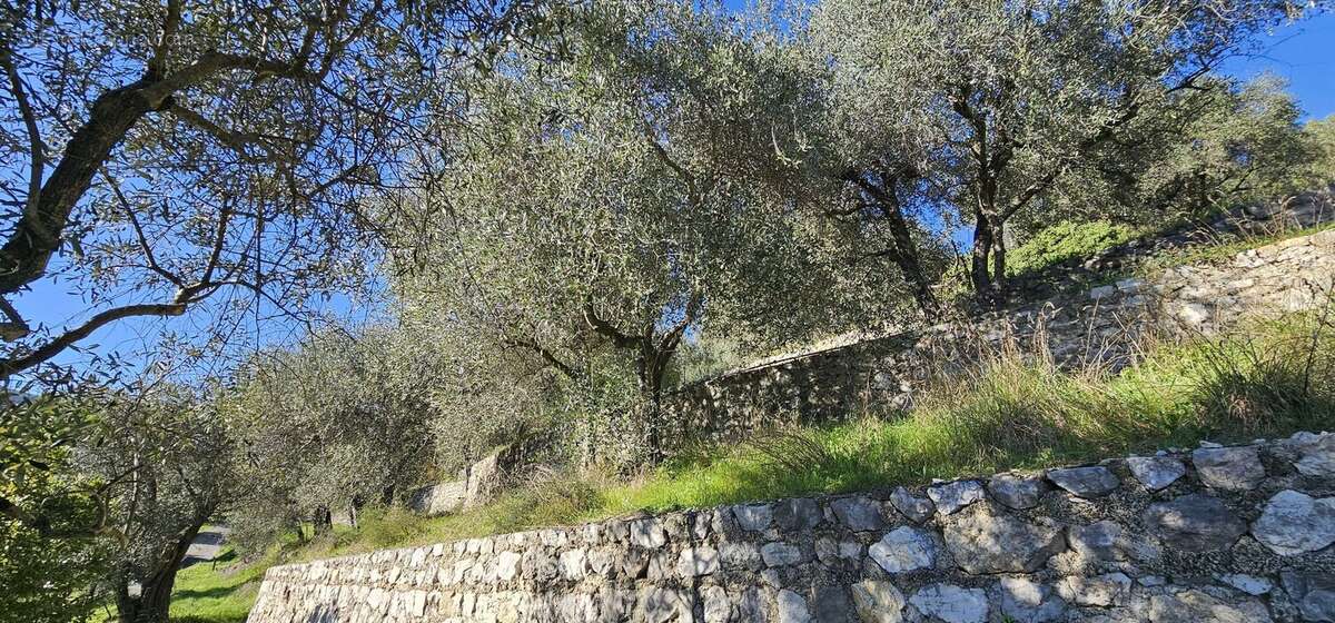 Terrain à TOURRETTE-LEVENS