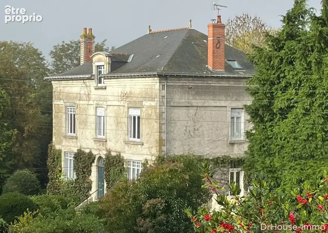 Maison 13 pièces 412 m² à vendre à Martigne-Briand (49540) - photo 93