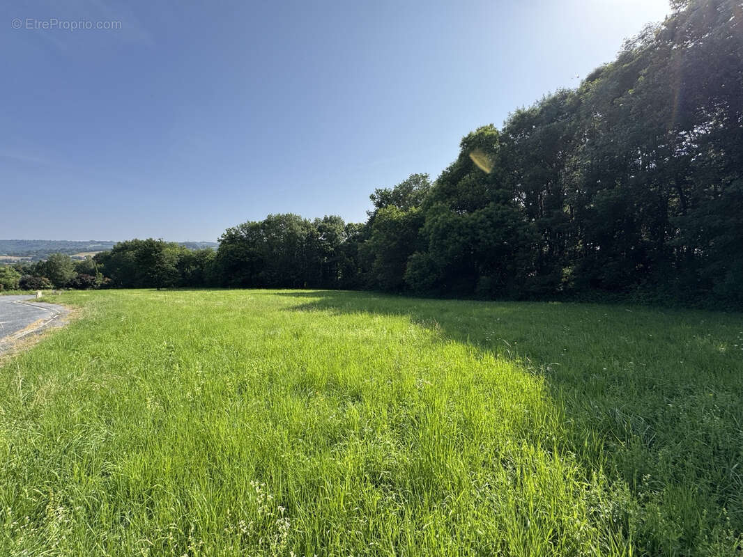 Terrain à MAZAMET