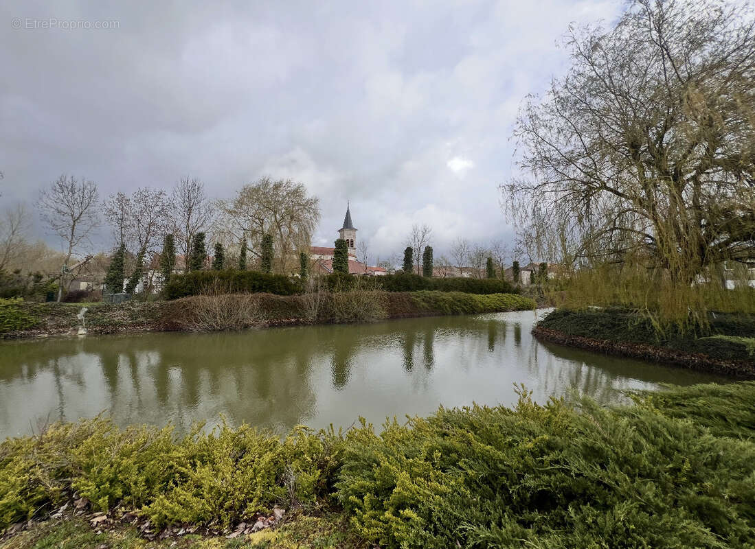 Maison de caractère avec parc arboré proche TOUL - photo 3
