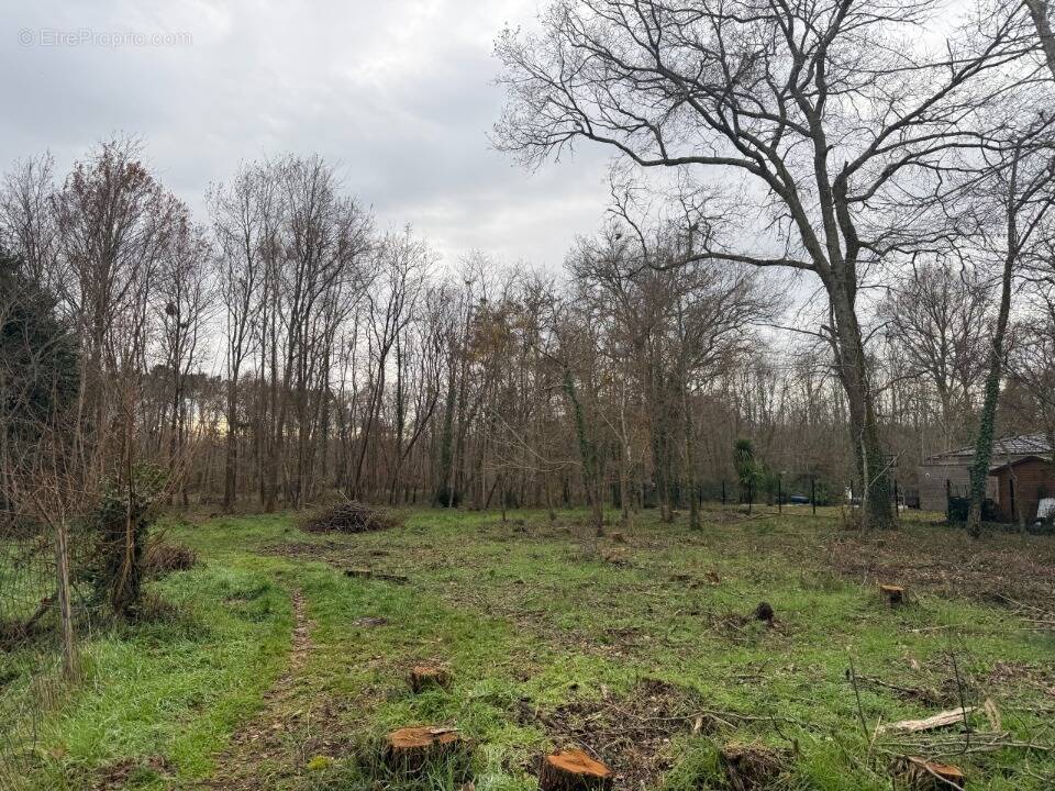 Terrain à SAINT-SELVE