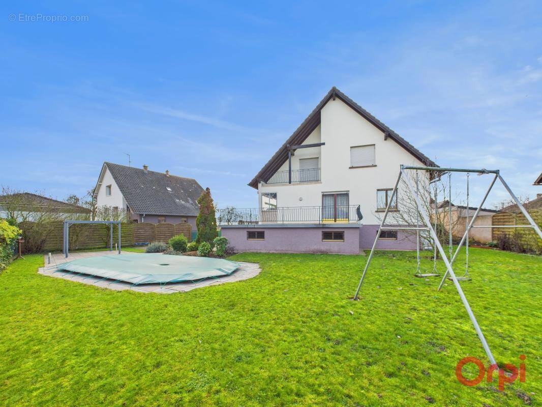 Maison à NIEDERSCHAEFFOLSHEIM