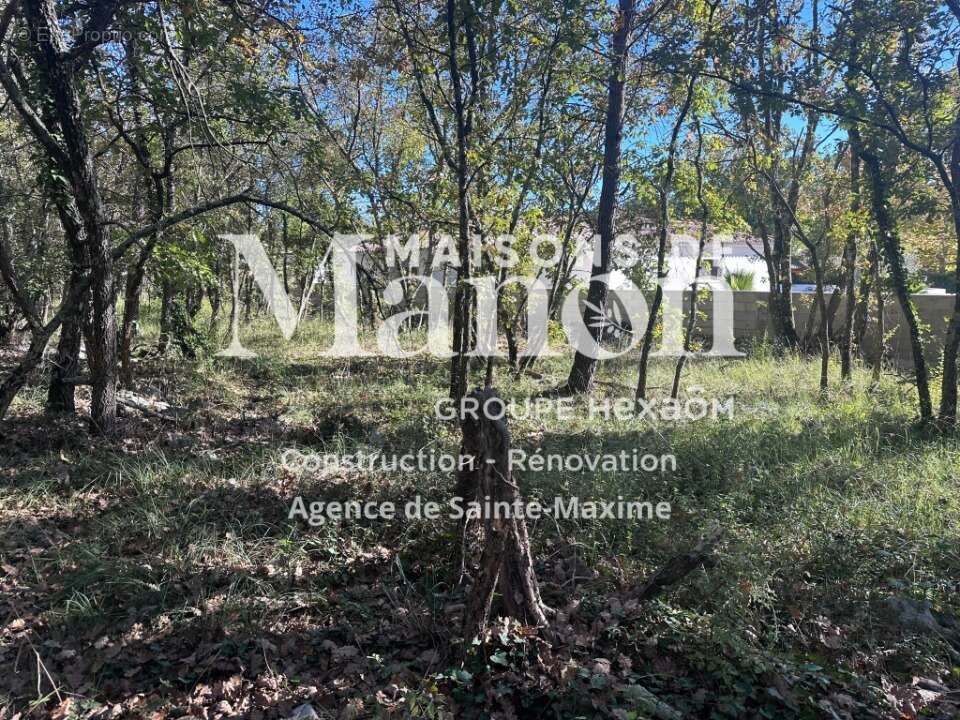 Terrain à TRANS-EN-PROVENCE