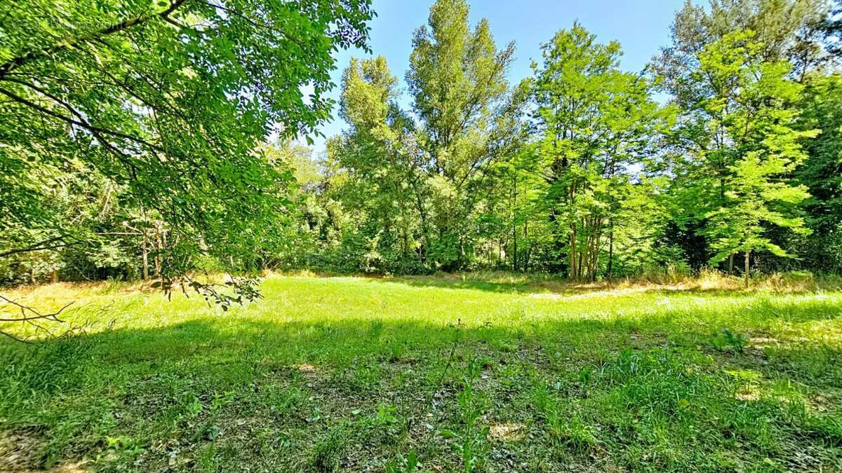 En exclusivité sur VIDAUBAN (Var) Maisonnette sur 3900m² - photo 3