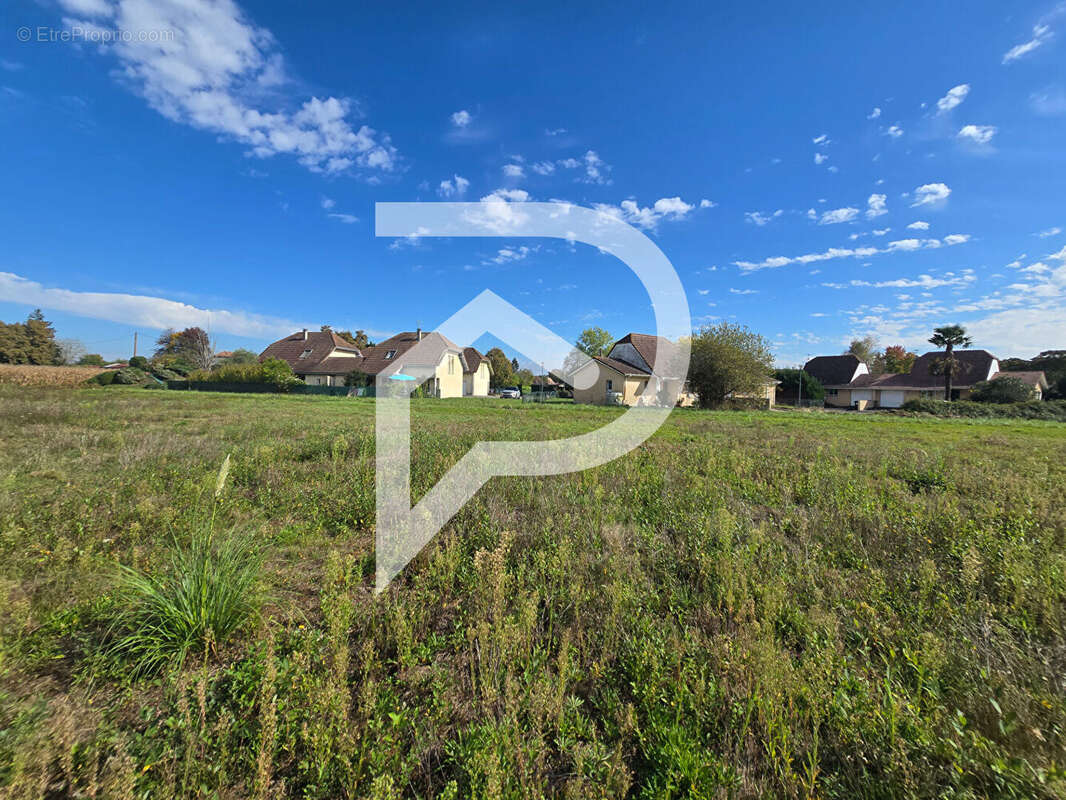 Terrain à HAGETAUBIN