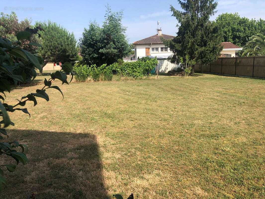 Terrain à HAUT-MAUCO