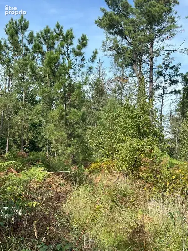 À vendre – argol – finistère – presqu’île de crozon-exceptionnel terrain de loisirs de 40 000 m² - photo 54