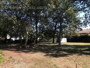 Terrain à GUJAN-MESTRAS