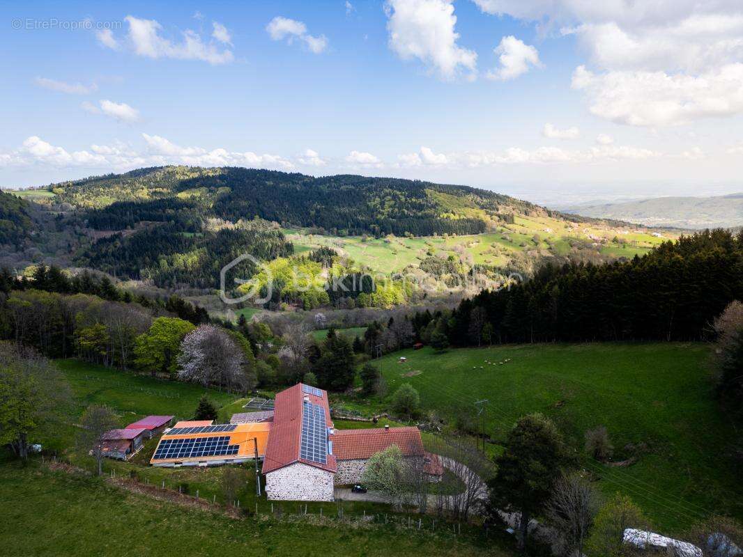 Domaine d'exception Colombier sous pilat - photo 26