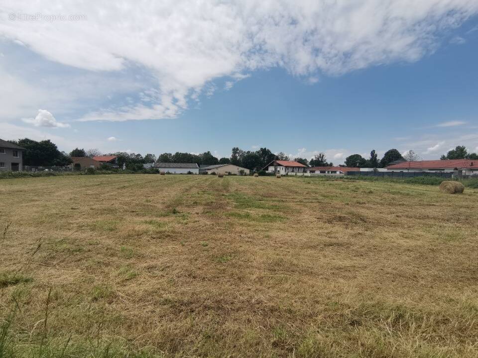 Terrain à JUILLAN