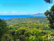 Photo 1 - Commerce à CAVALAIRE-SUR-MER