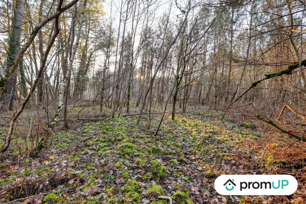 Terrain à CHATILLON-SUR-CHER