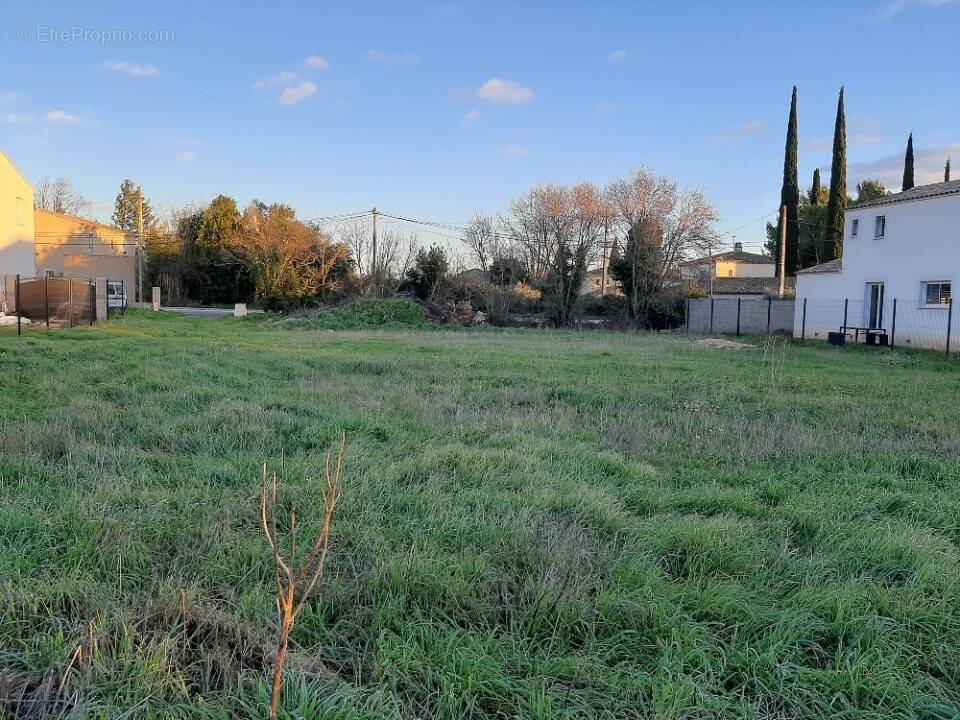 Terrain à SAINT-MARTIN-DE-CRAU