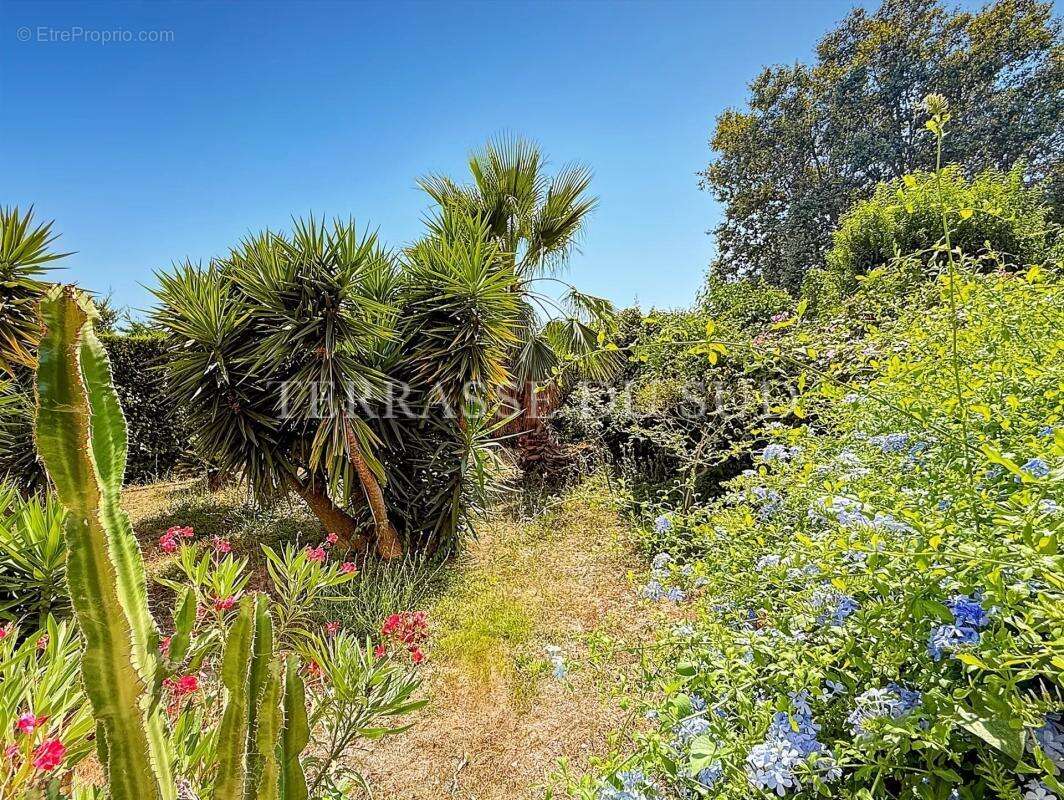 Vente Appartement 4 Pièces, 95 m2 avec 390 m2 de Terrasse et Jardin, Garage - Quartier La Plage - Marseille 8 - photo 2