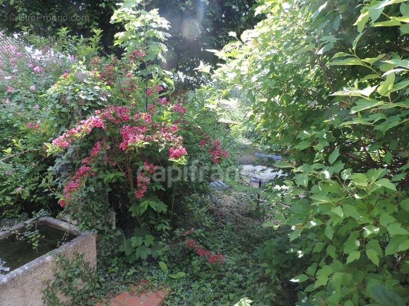 Maison à SAINT-MARTIN-DU-MONT