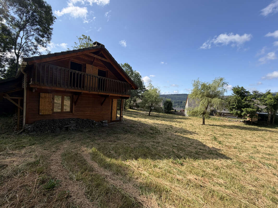 Chalet sur les hauteurs de laveissiere - photo 24