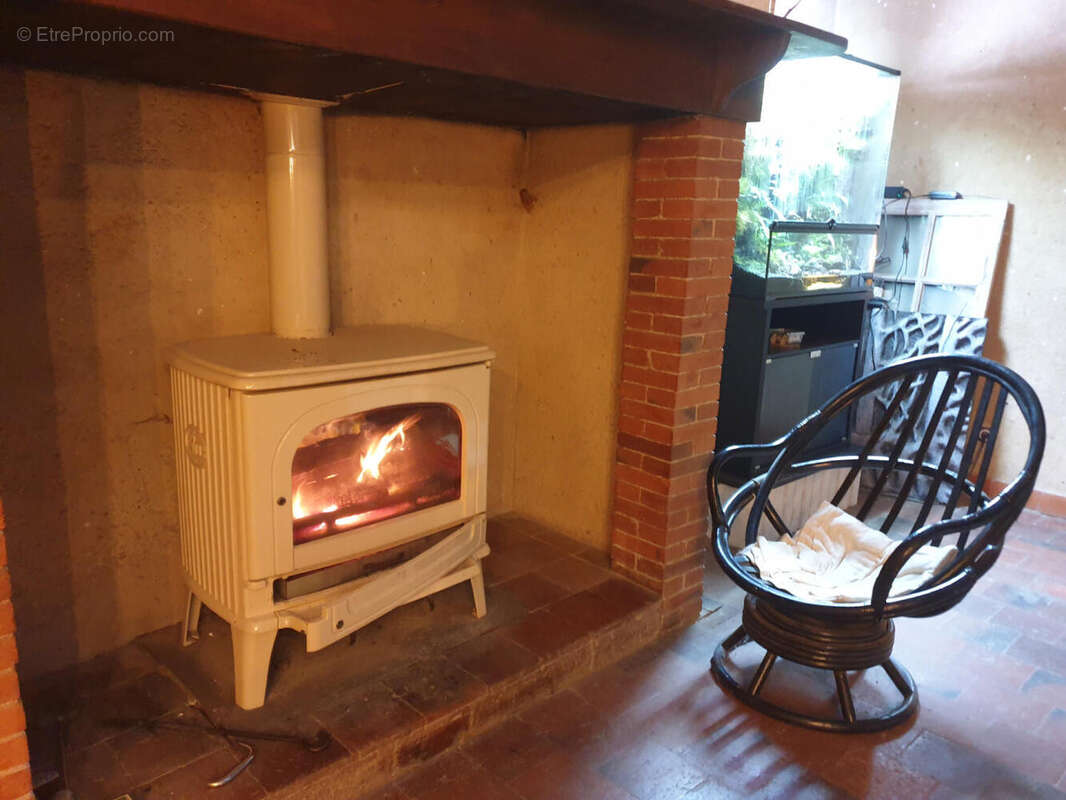 poele de la cheminée - Maison à PLAISANCE